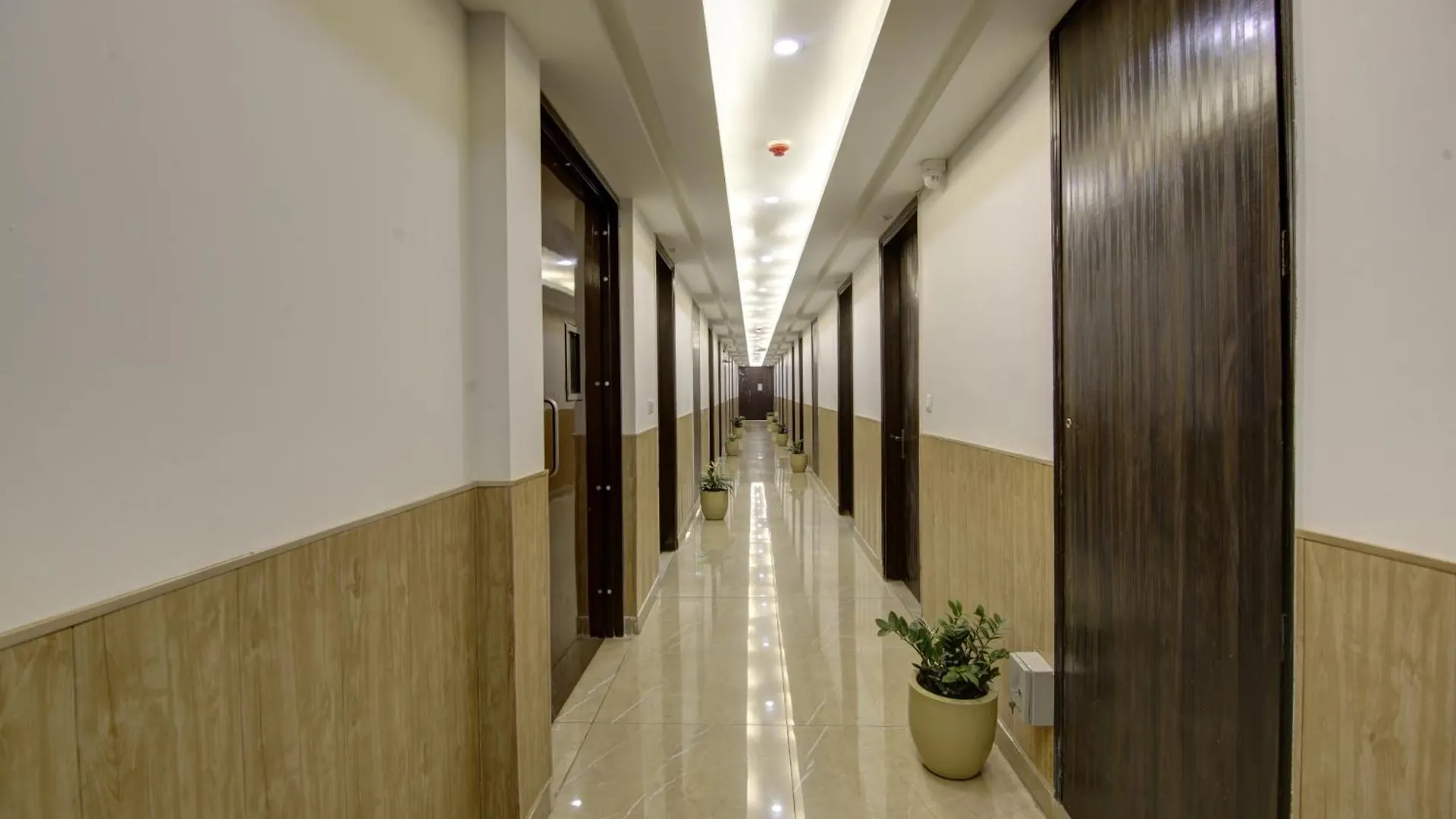 Hotel Park Tree - Igi Airport A Unit Of Prithvi Palace New Delhi